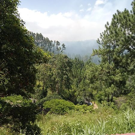 New Rose Villa Bandarawela エッラ エクステリア 写真