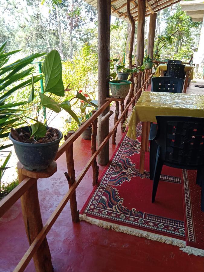 New Rose Villa Bandarawela エッラ エクステリア 写真