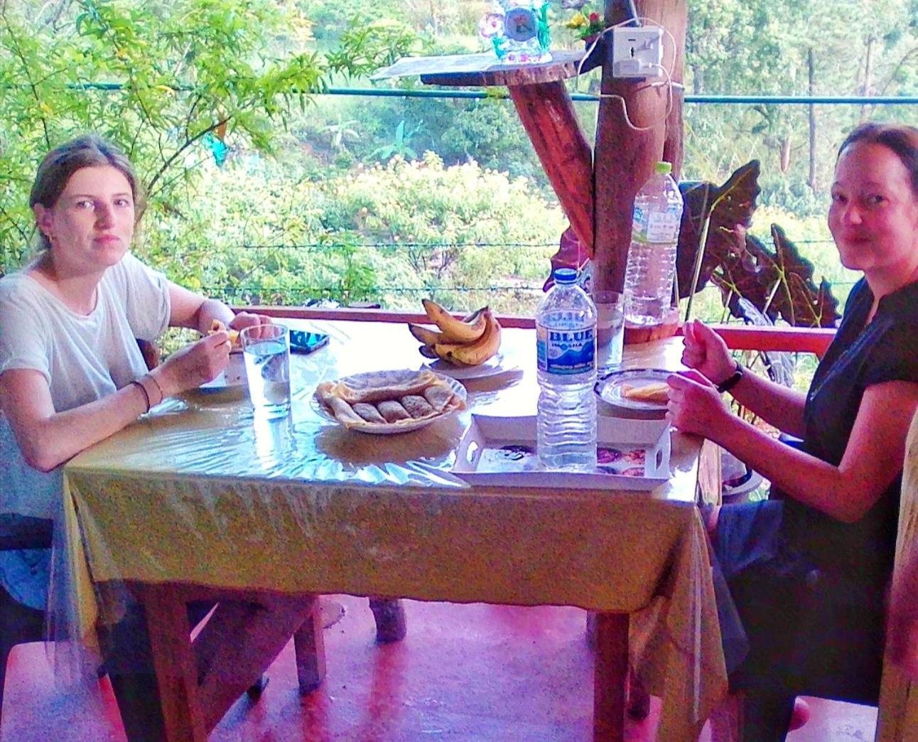New Rose Villa Bandarawela エッラ エクステリア 写真