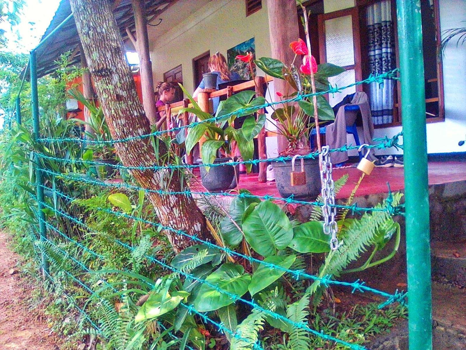 New Rose Villa Bandarawela エッラ エクステリア 写真