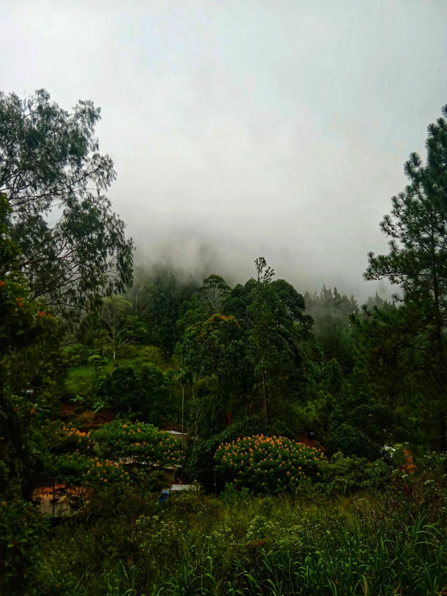 New Rose Villa Bandarawela エッラ エクステリア 写真