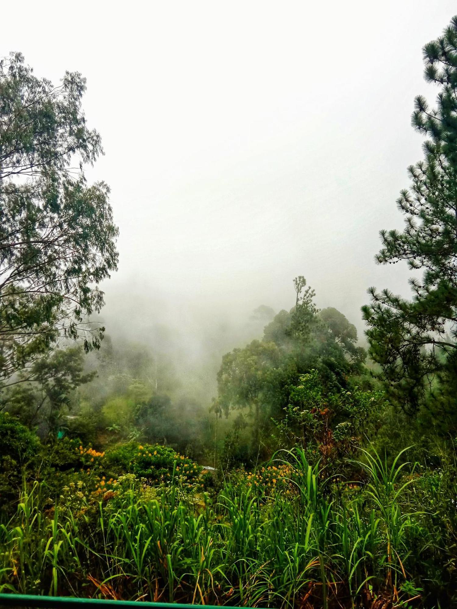 New Rose Villa Bandarawela エッラ エクステリア 写真