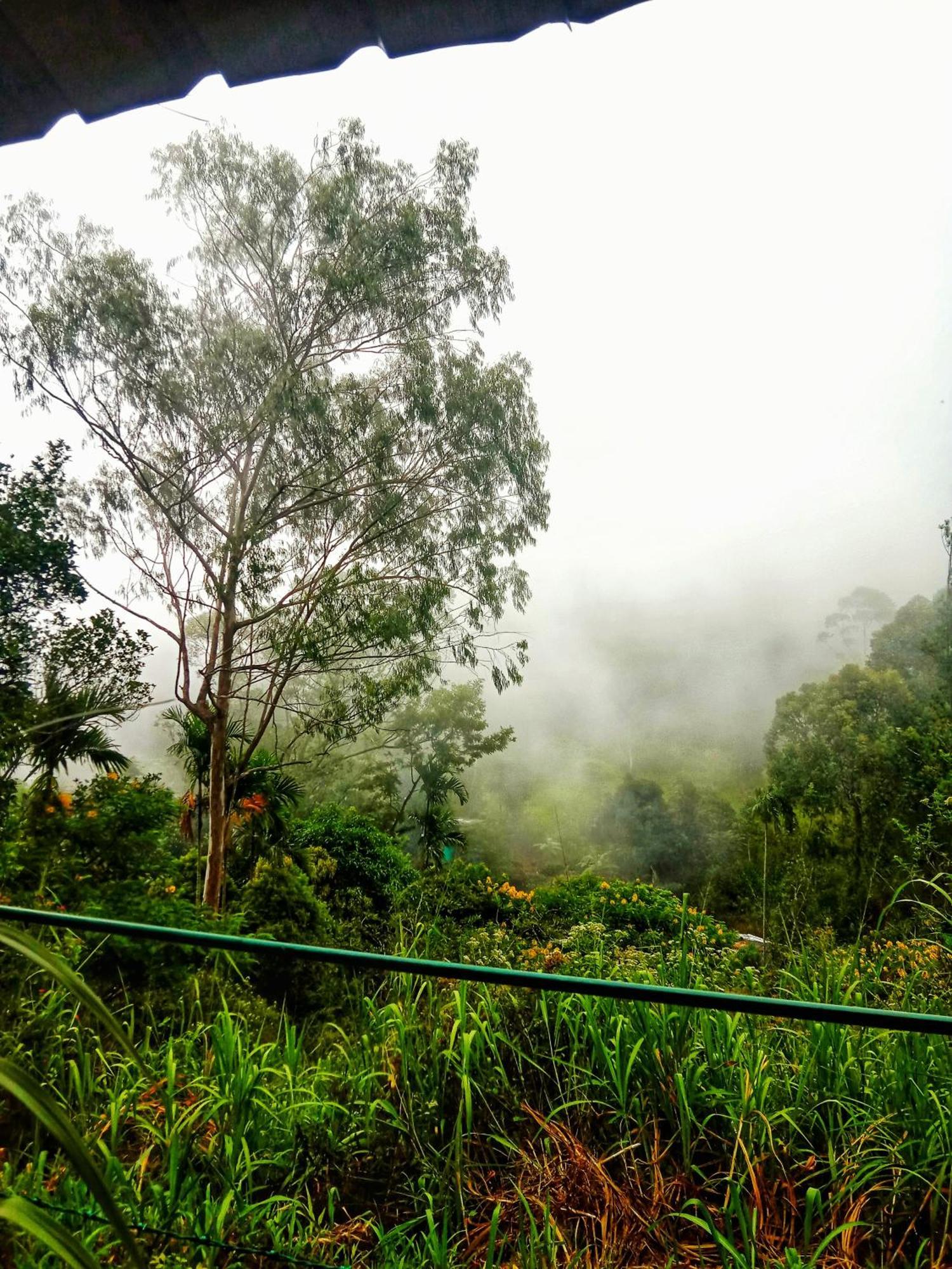 New Rose Villa Bandarawela エッラ エクステリア 写真
