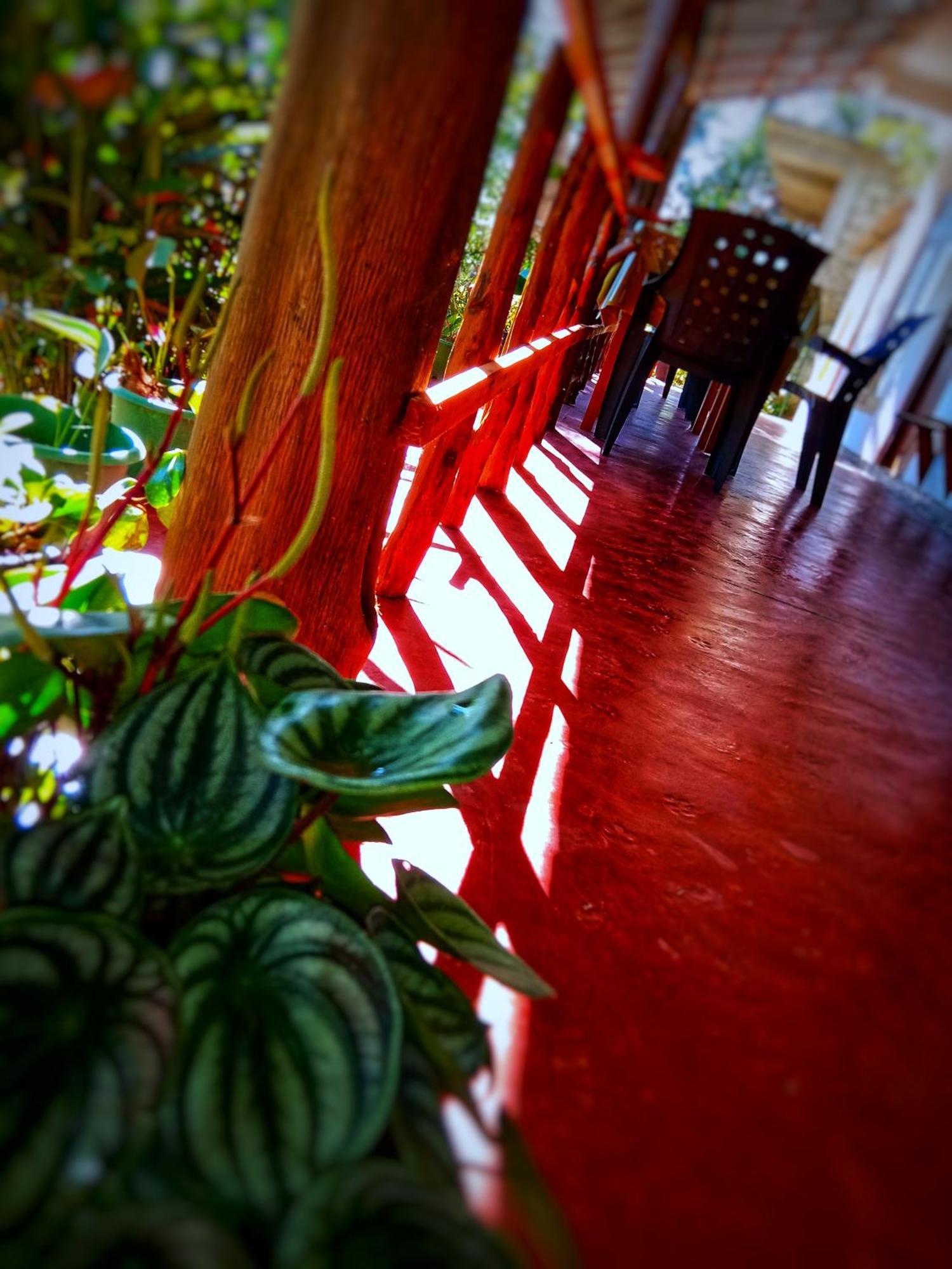 New Rose Villa Bandarawela エッラ エクステリア 写真