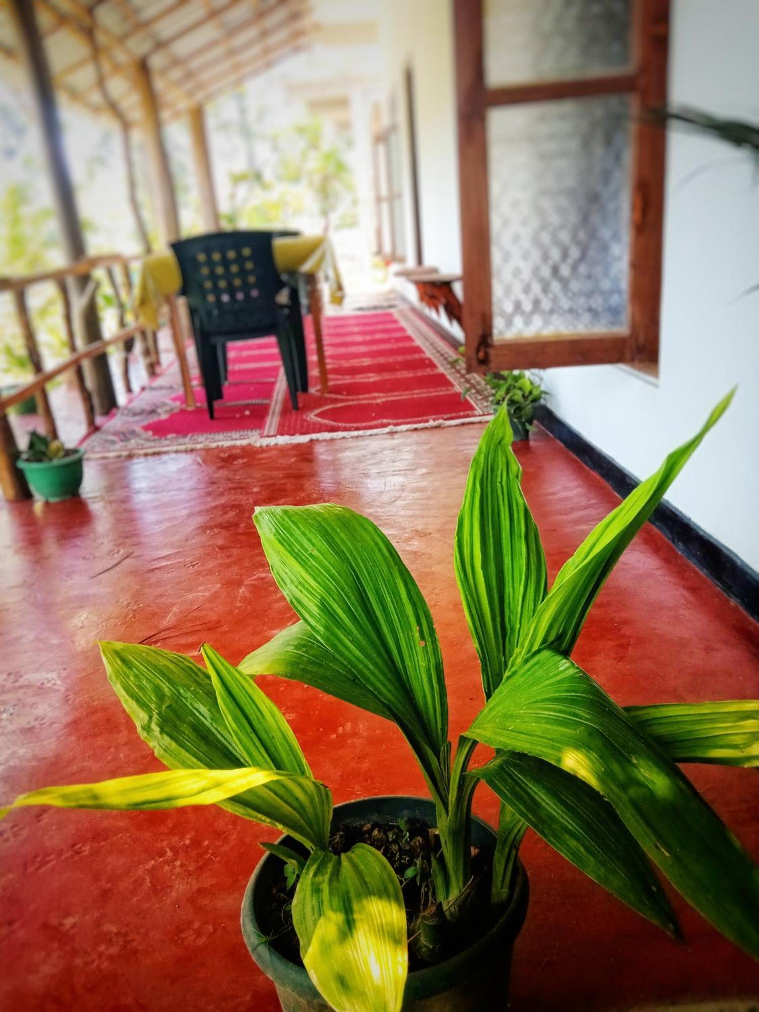 New Rose Villa Bandarawela エッラ エクステリア 写真