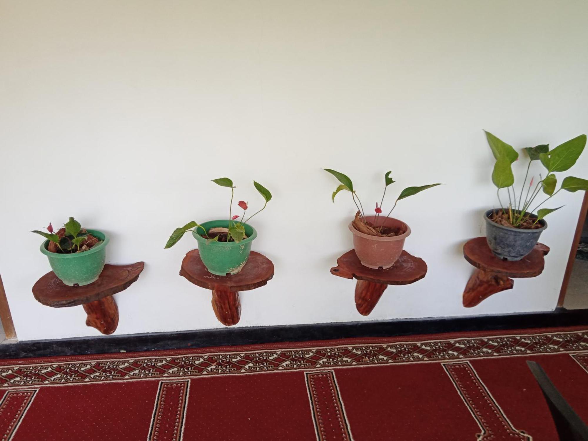 New Rose Villa Bandarawela エッラ エクステリア 写真