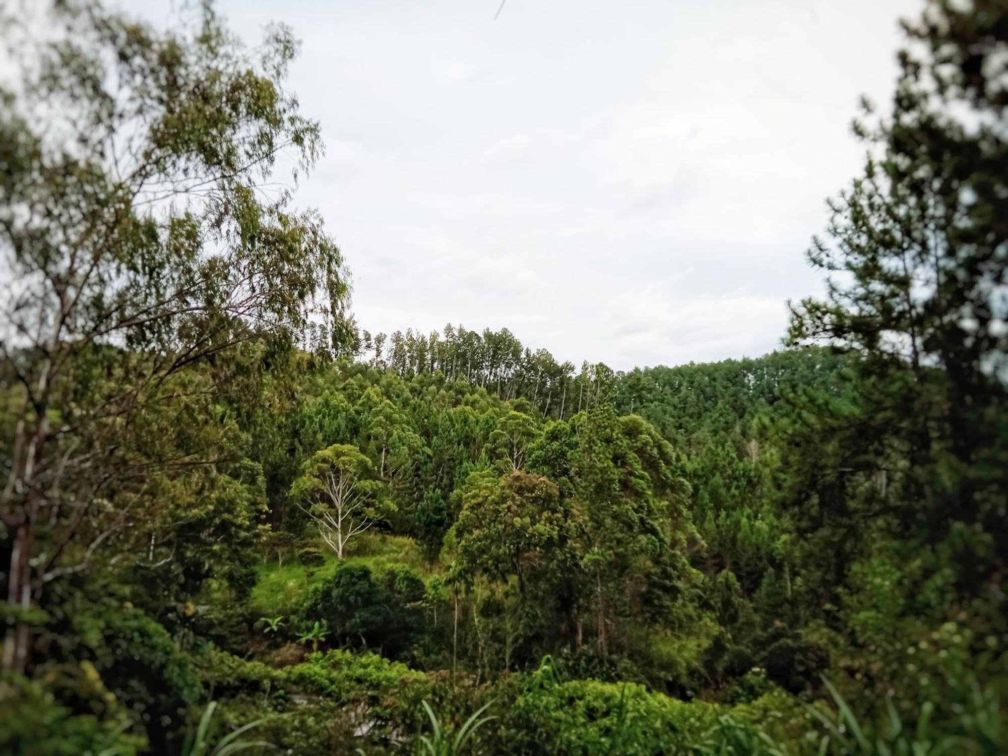 New Rose Villa Bandarawela エッラ エクステリア 写真
