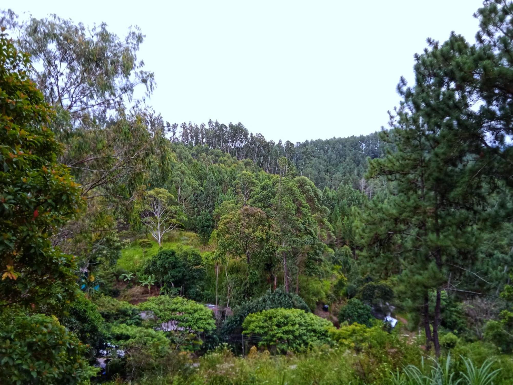 New Rose Villa Bandarawela エッラ エクステリア 写真