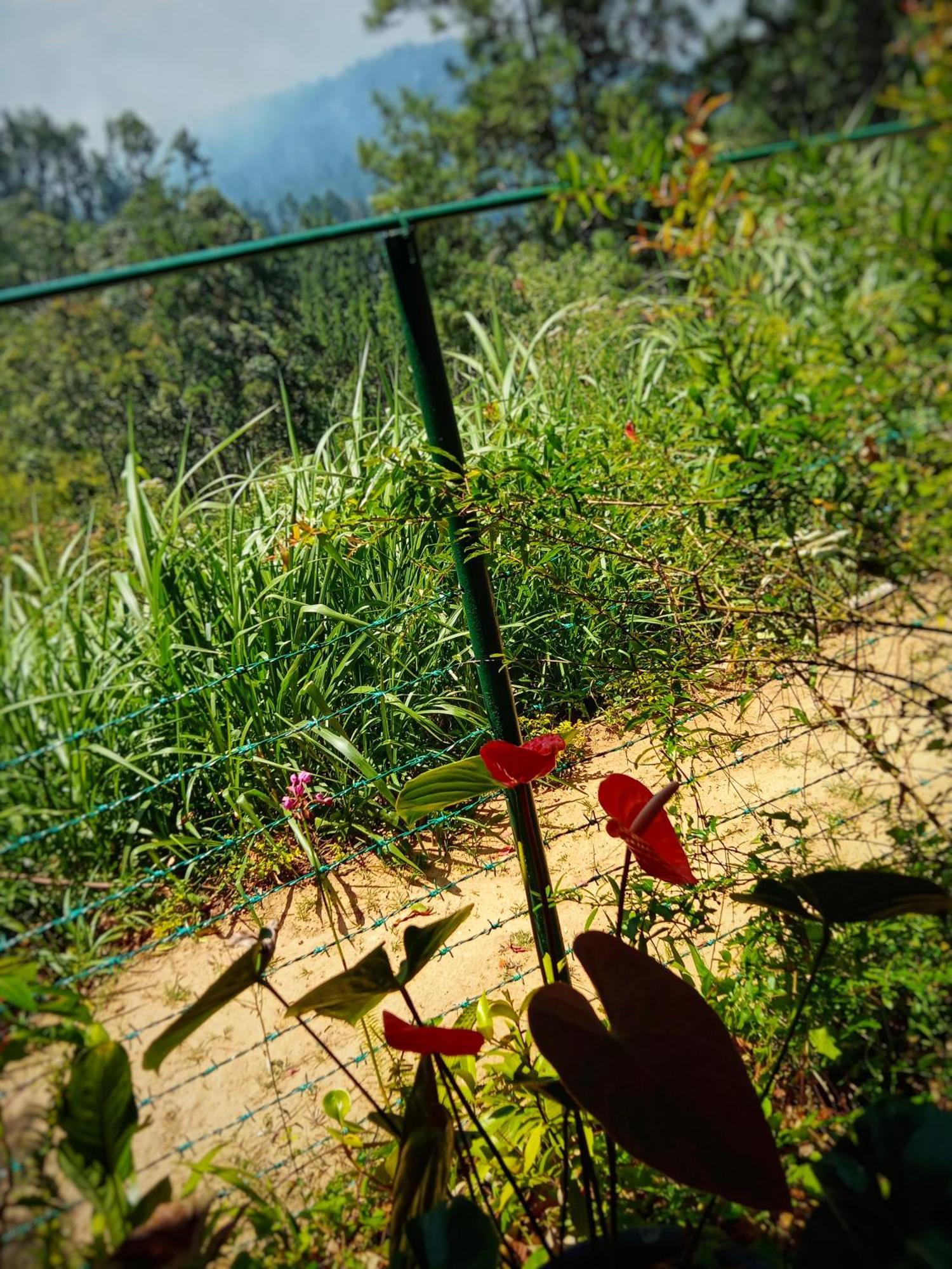 New Rose Villa Bandarawela エッラ エクステリア 写真