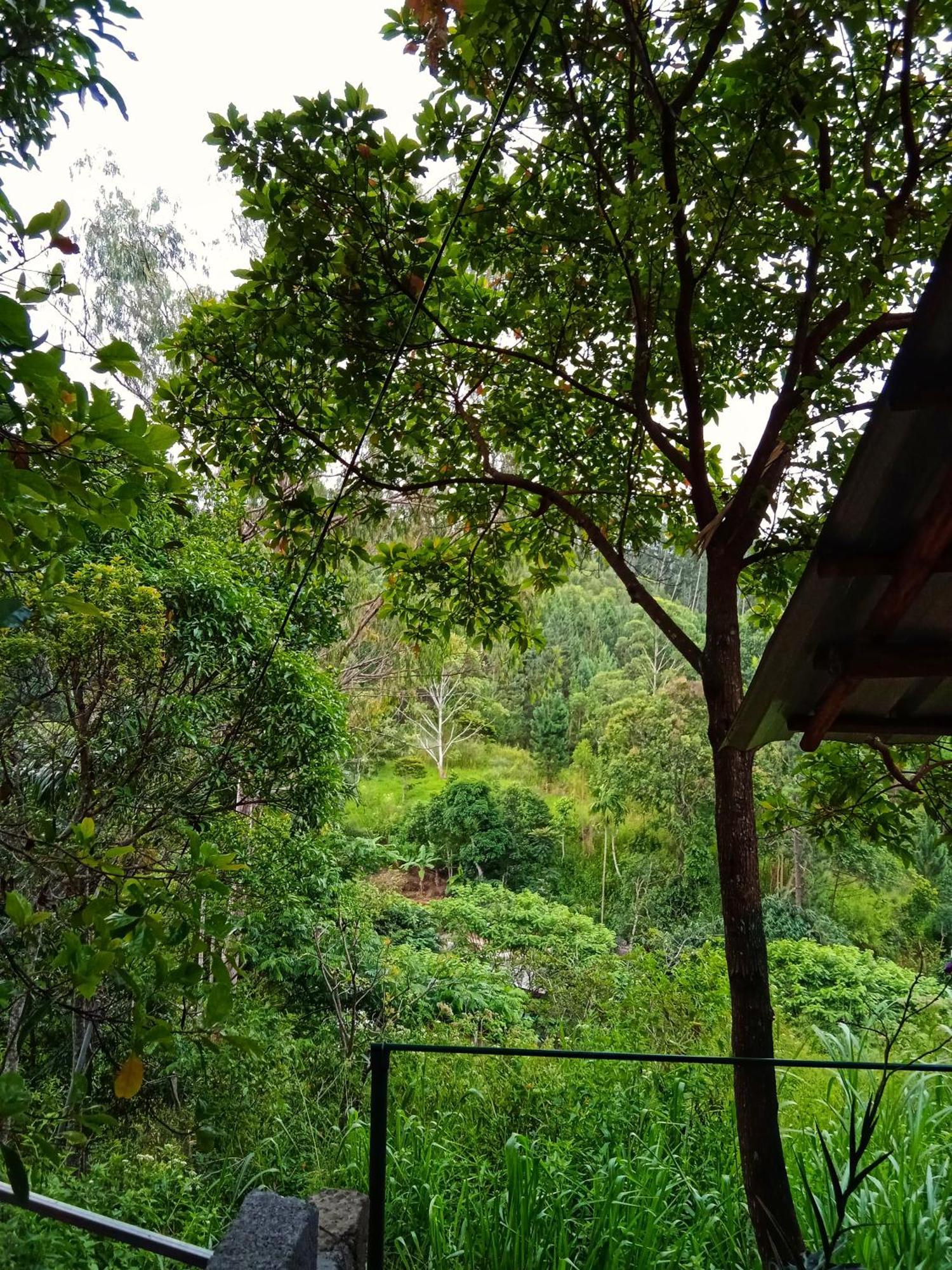 New Rose Villa Bandarawela エッラ エクステリア 写真